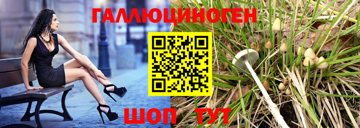 Галлюциногенные грибы прущие грибы Углич