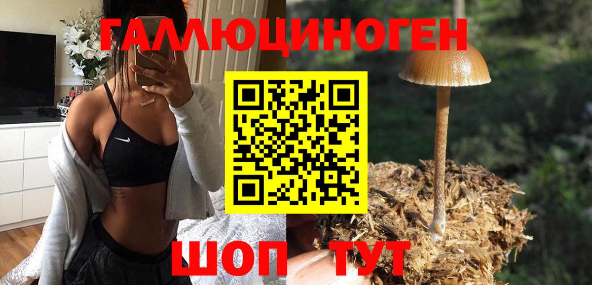 Галлюциногенные грибы Cubensis  Псилоцибиновые грибы мицелий  Углич  Вход с VPN 